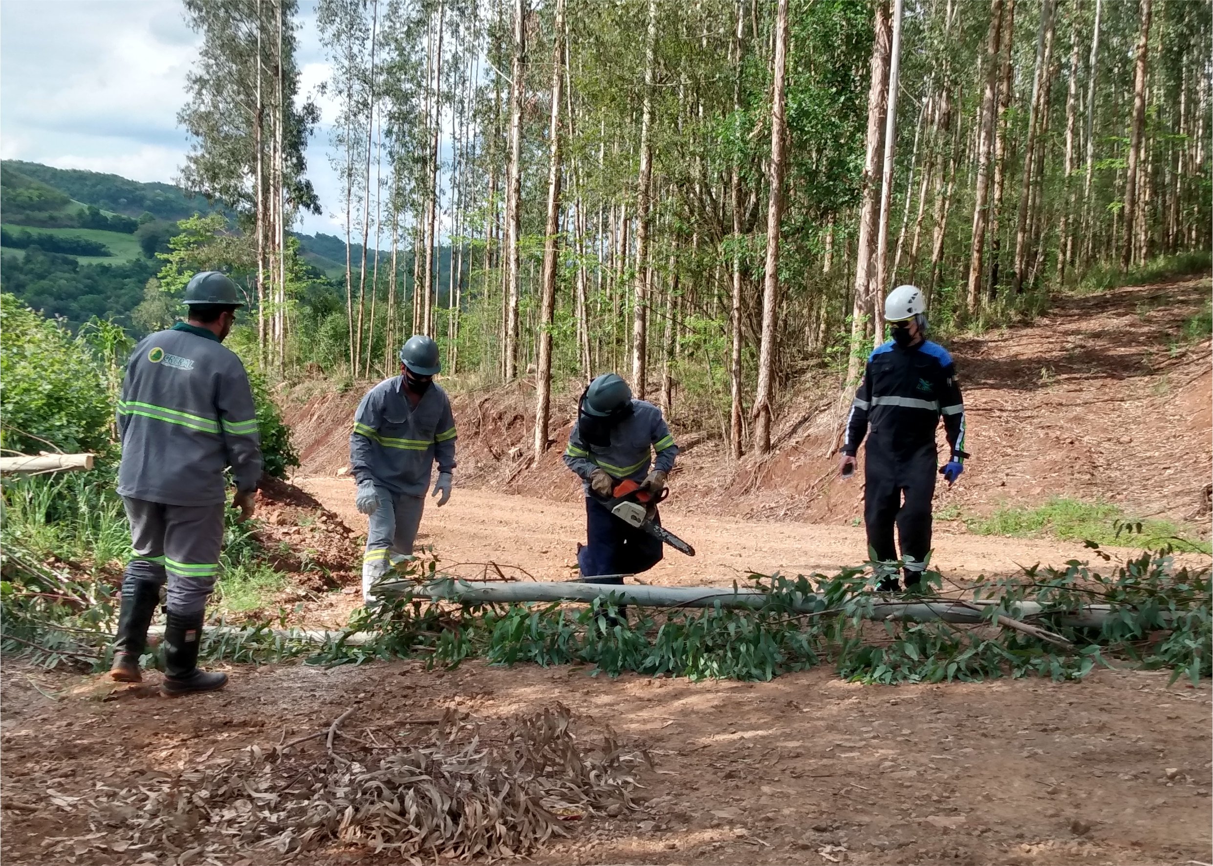 Creral renova treinamento de segurança de suas equipes de campo