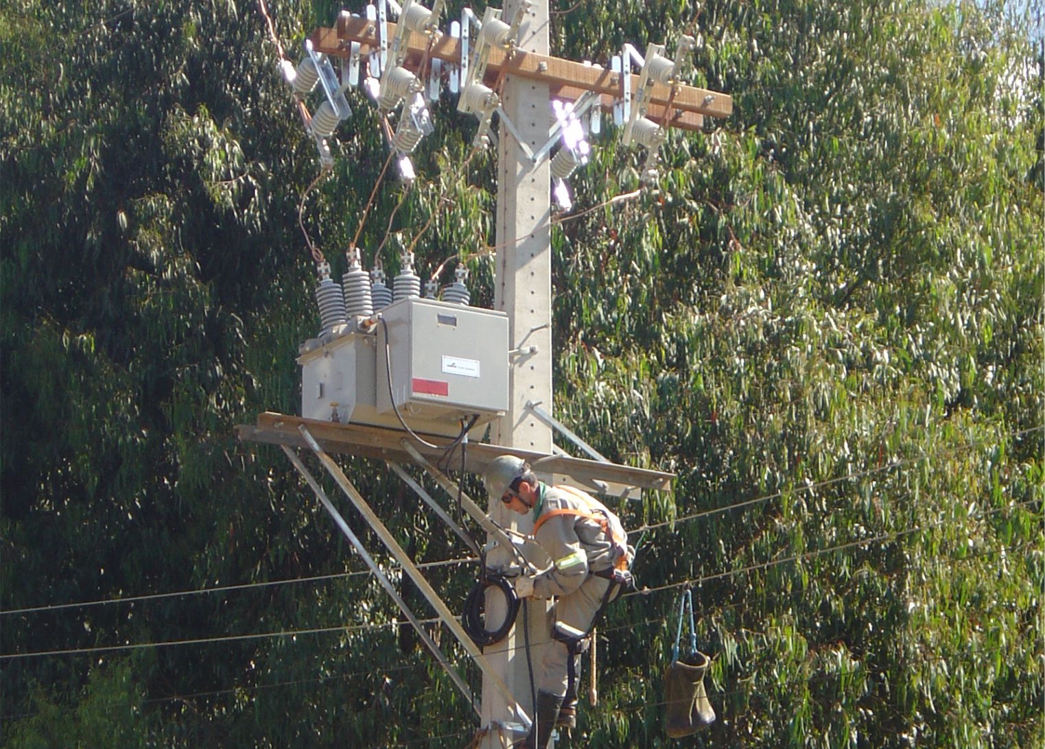 Religadores automáticos auxiliam nas redes de energia da Creral